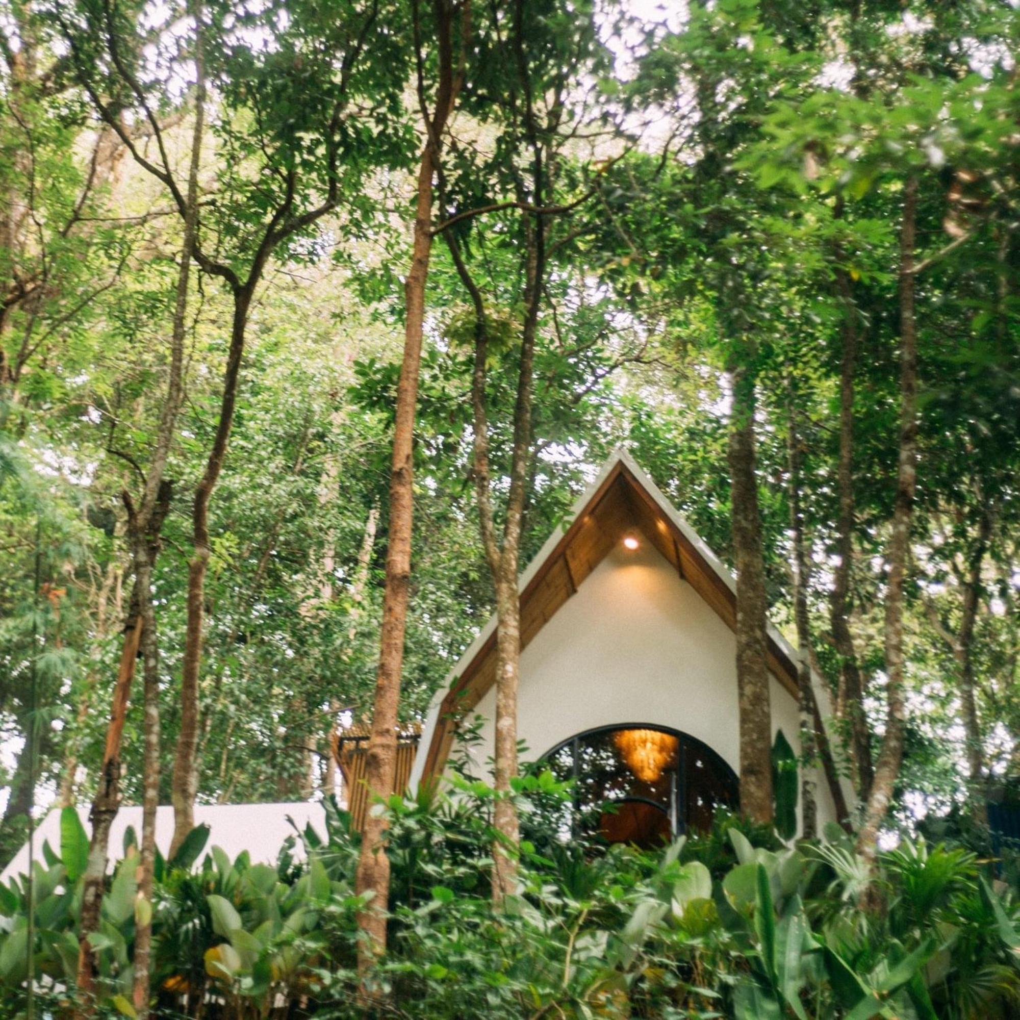 Lannawild Hotel เชียงใหม่ ห้อง รูปภาพ